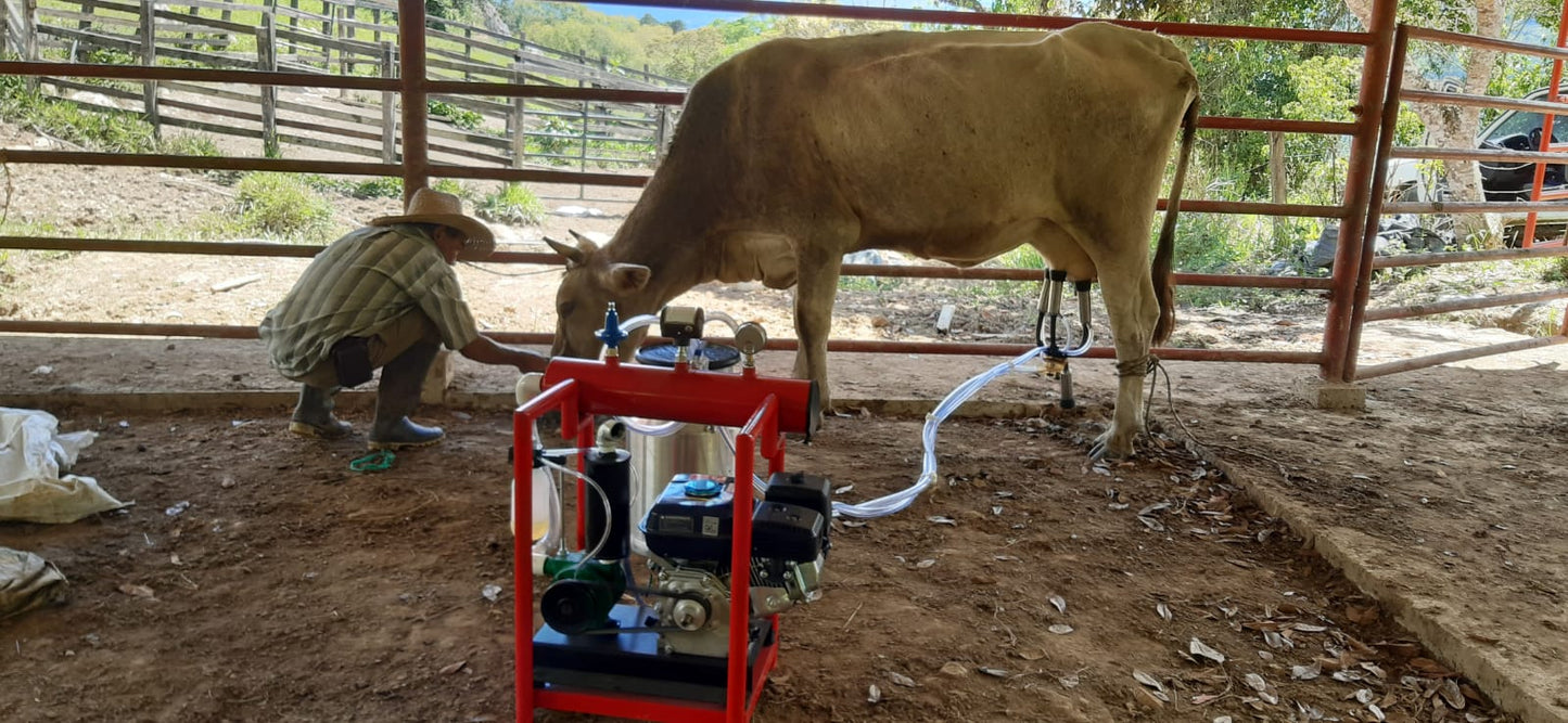 Equipo de Ordeño EcoMilk 🐄 - 1 y 2 puestos - Eléctrico o Gasolina + OBSEQUIO + PAGUE AL RECIBIR 🚚