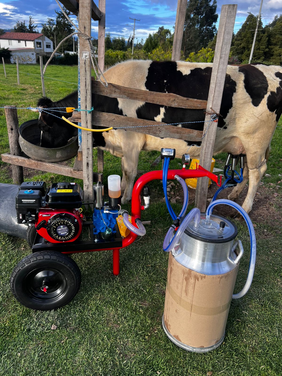 2 LLANTAS O RUEDAS NEUMÁTICAS - 8 Pulgadas para Equipo de Ordeño