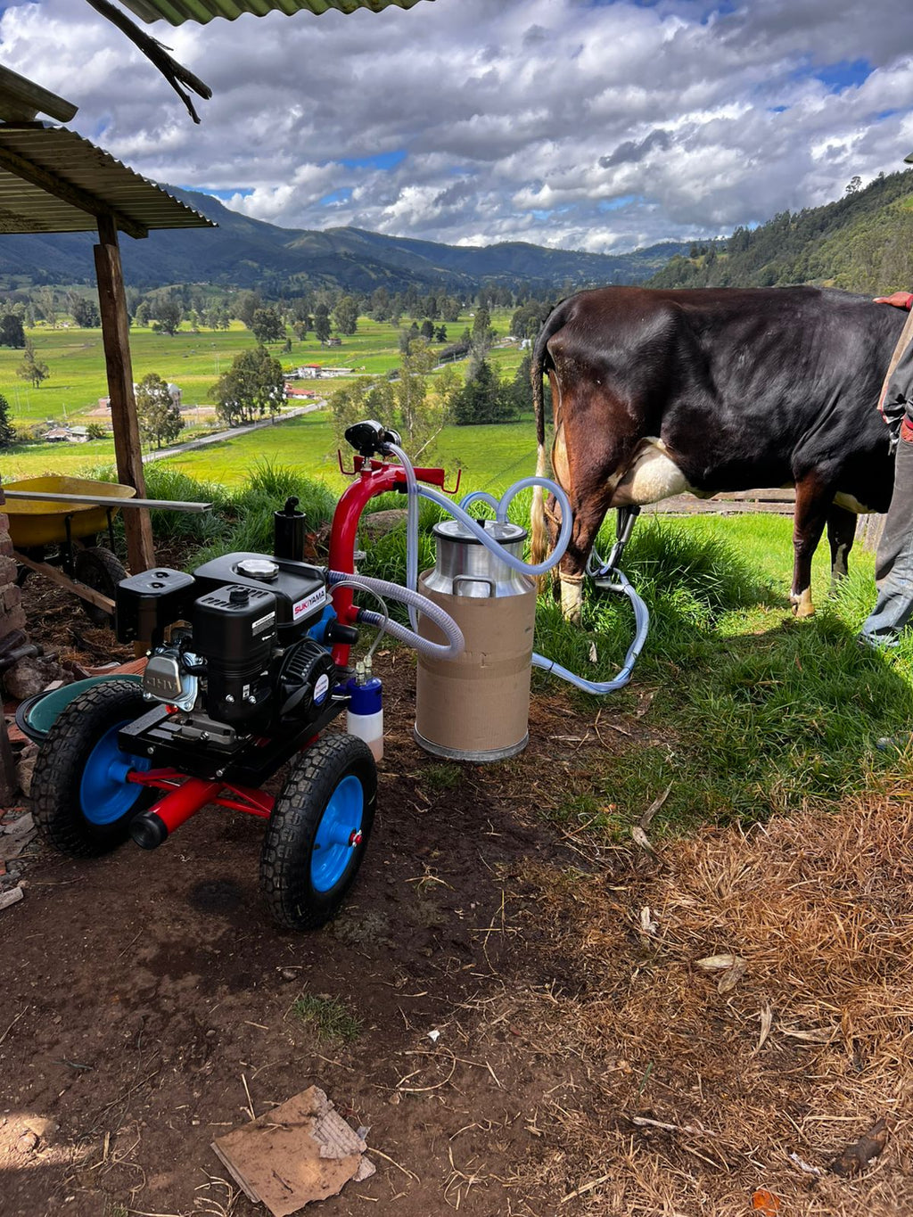 2 LLANTAS O RUEDAS NEUMÁTICAS - 8 Pulgadas para Equipo de Ordeño