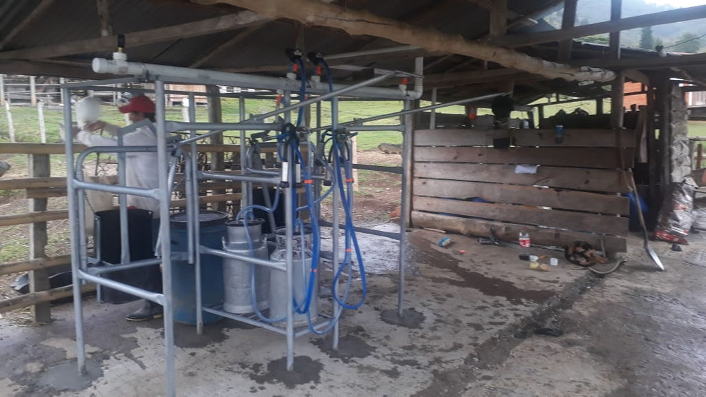 Establo de Ordeño Galvanizado Fijo para vacas desde 1 puesto