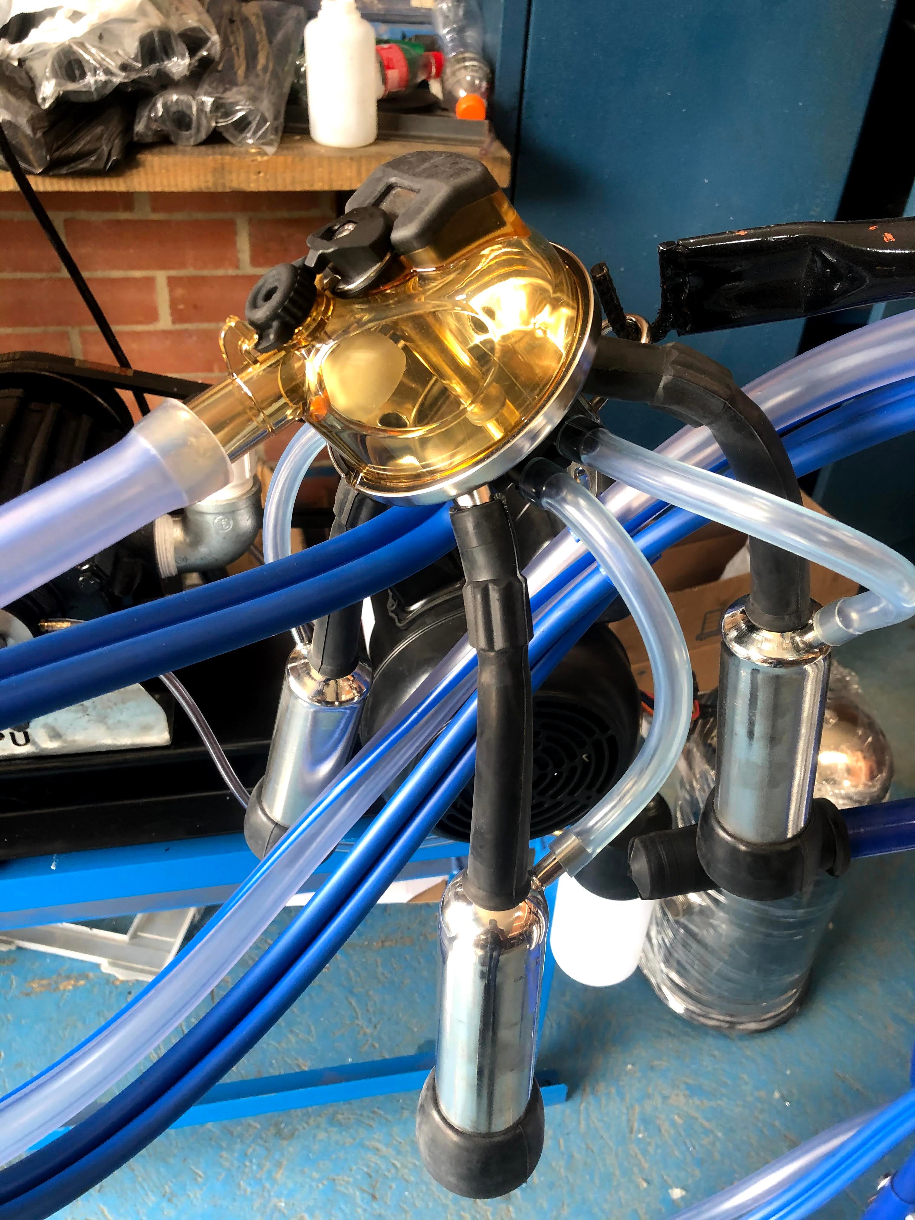 Colector de ordeño Classic 300 para vacas adaptable a Westfalia + ENVIO GRATIS 🚚