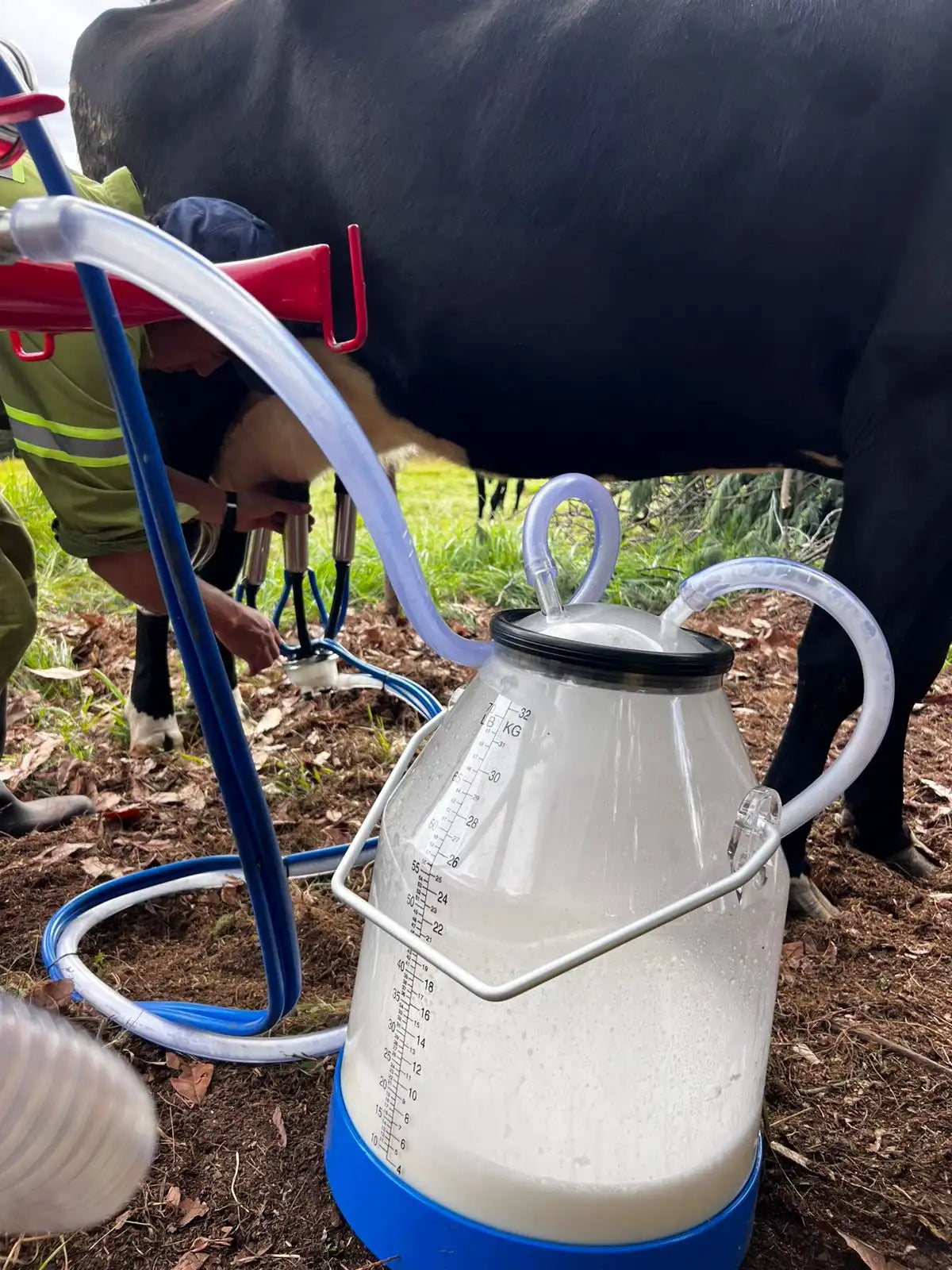 Cantina Lechera de 32lts Transparente con Medición + ENVIO GRATIS + PAGUE AL RECIBIR 🚚