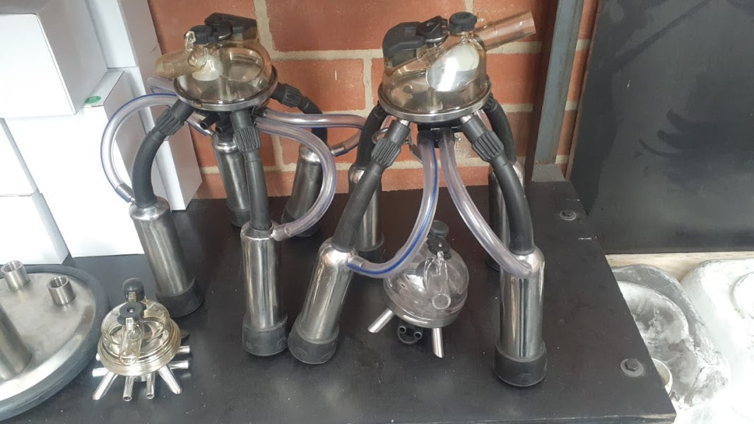 Colector de ordeño Classic 300 para vacas adaptable a Westfalia + ENVIO GRATIS 🚚