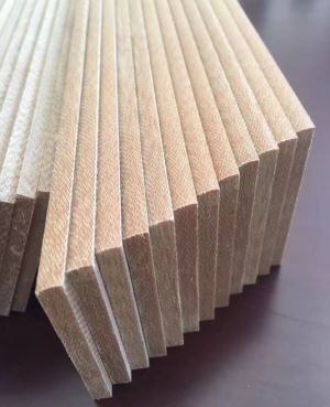 Bombas de Vacío para Ordeño Mecánico