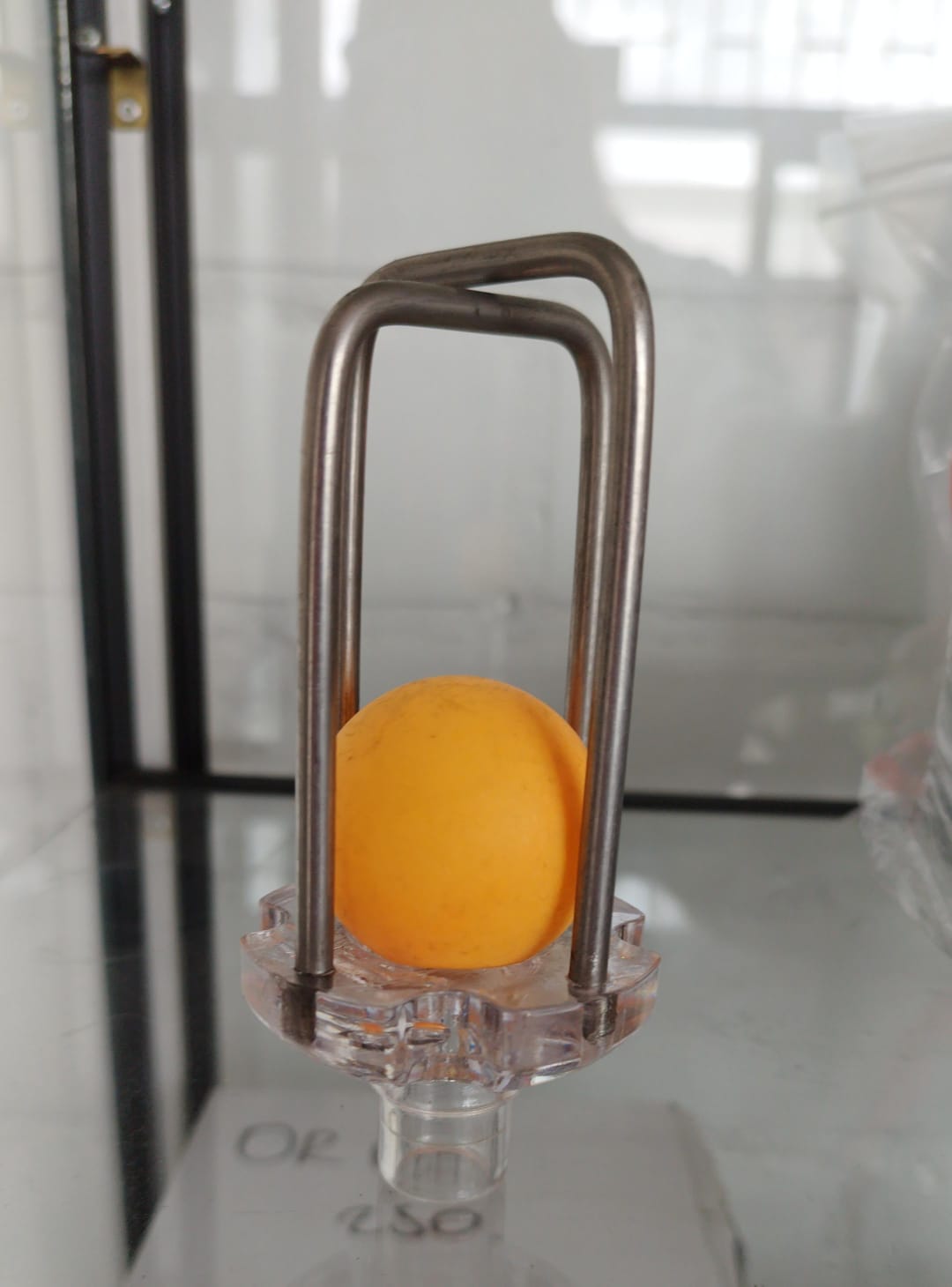 TRAMPA DE SEGURIDAD ORDEÑO A CANTINA